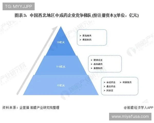 分析ky娱乐游戏的盈利模式与市场前景,为投资者提供专业的行业洞察 分析ky娱乐游戏的盈利模式与市场前景,为投资者提供专业的行业洞察